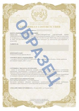 Образец Сертификат СТО 01.064.00220722.2-2020 Великий Устюг Сертификат СТО 01.064.00220722.2-2020 