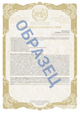 Образец Приложение к СТО 01.064.00220722.2-2020 Великий Устюг Сертификат СТО 01.064.00220722.2-2020 